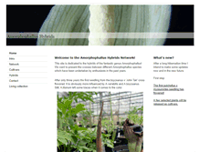 Tablet Screenshot of amorphophallus-network.org